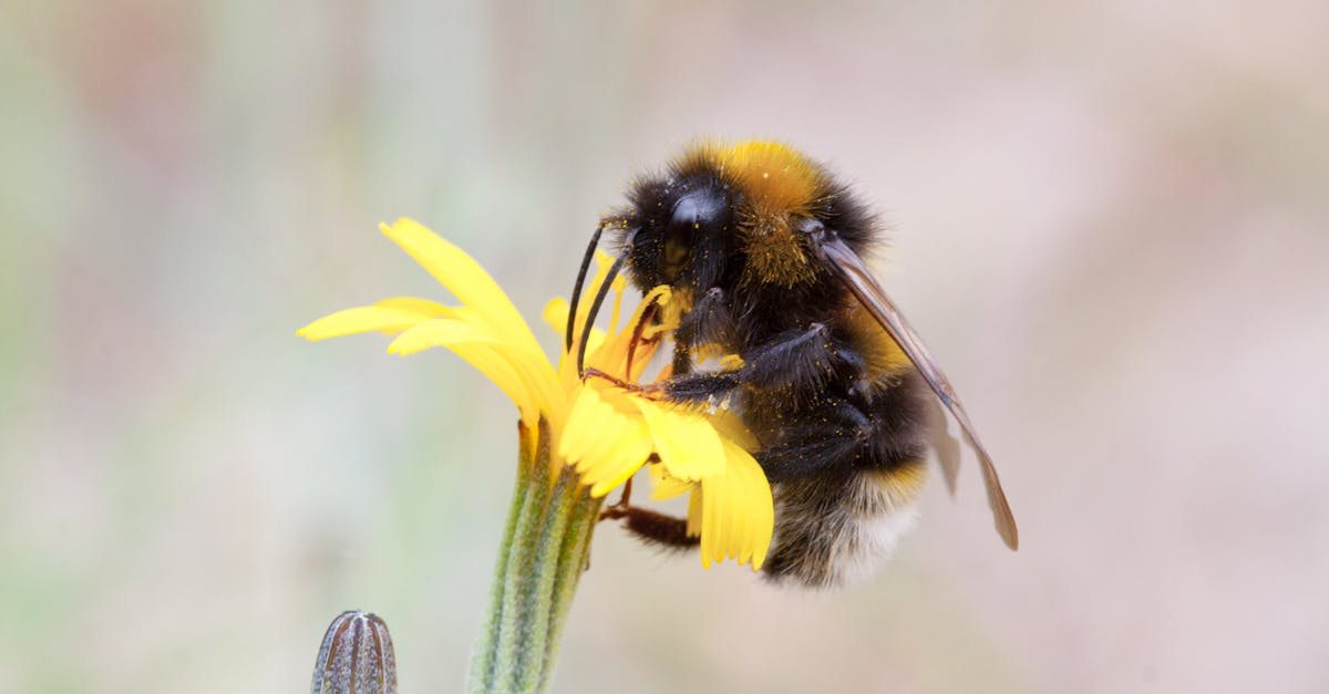 découvrez bumble, l'application de rencontre révolutionnaire qui permet aux femmes de faire le premier pas. connectez-vous avec des personnes partageant les mêmes intérêts, que ce soit pour des rencontres amoureuses, des amitiés ou du networking professionnel. rejoignez une communauté où l'égalité et le respect sont à l'honneur.