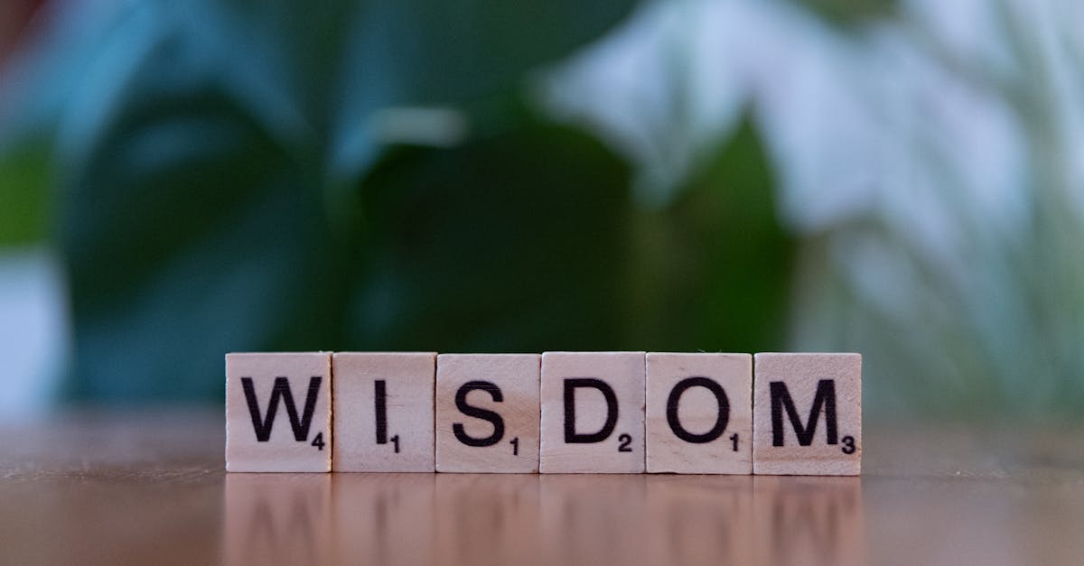 découvrez les raisons qui expliquent pourquoi certains choix peuvent transformer votre vie. une exploration des motivations et des aspirations qui guident nos décisions au quotidien.