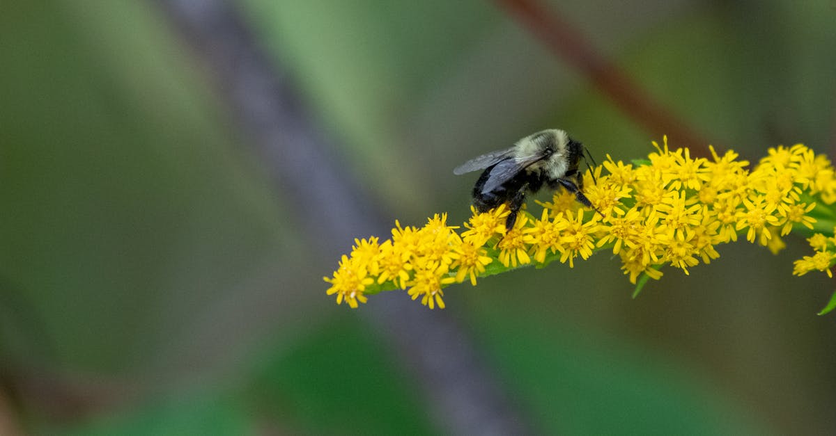 découvrez les différents types de comportements humains et animaux, leurs origines et leurs impacts sur notre quotidien. apprenez à mieux comprendre les interactions et les réactions à travers l'étude des comportements.