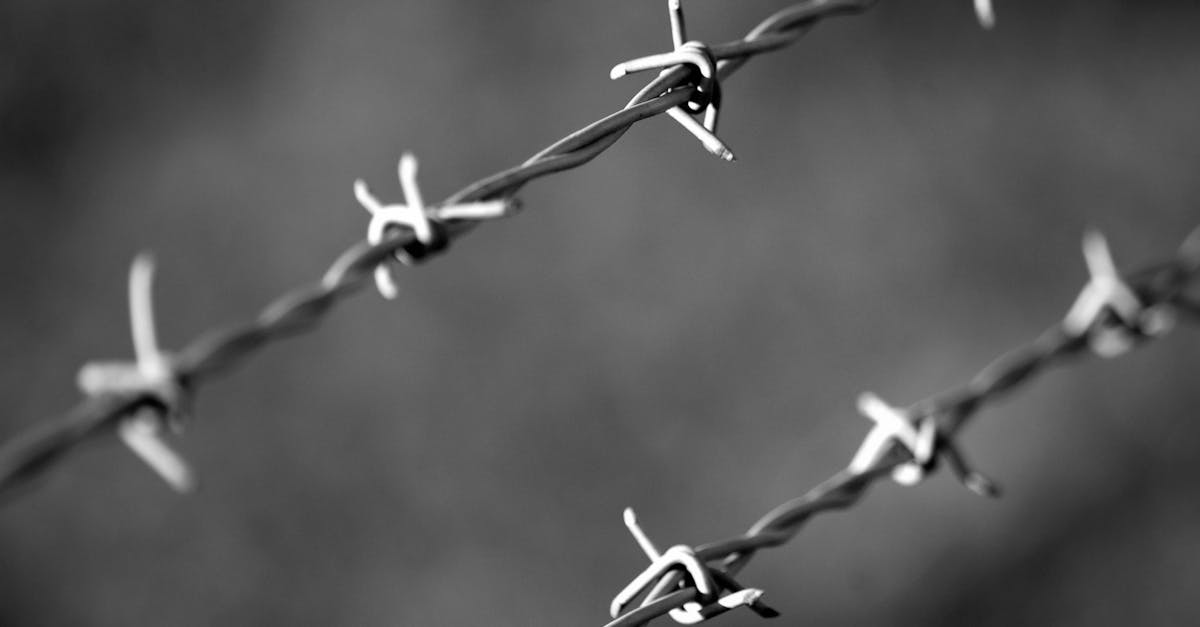 découvrez l'importance des boundaries, ou limites personnelles, pour mieux vous respecter, protéger votre bien-être et améliorer vos relations au quotidien.