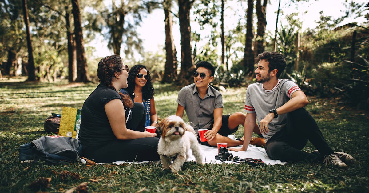 découvrez tout sur l'amitié : son importance, comment renforcer les liens entre amis et les clés pour entretenir une relation amicale durable et enrichissante. conseils, anecdotes et ressources pour célébrer vos amitiés au quotidien.