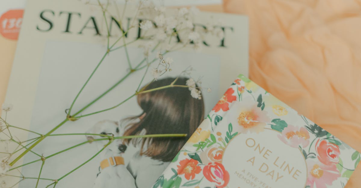 découvrez le one-night plan : une solution idéale pour organiser une soirée mémorable, incluant hébergement et activités pour une expérience unique le temps d'une nuit.