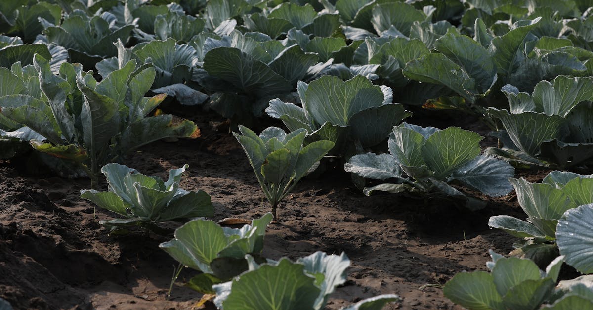 découvrez comment assurer un suivi efficace pour optimiser vos projets et améliorer la communication avec vos clients et partenaires.