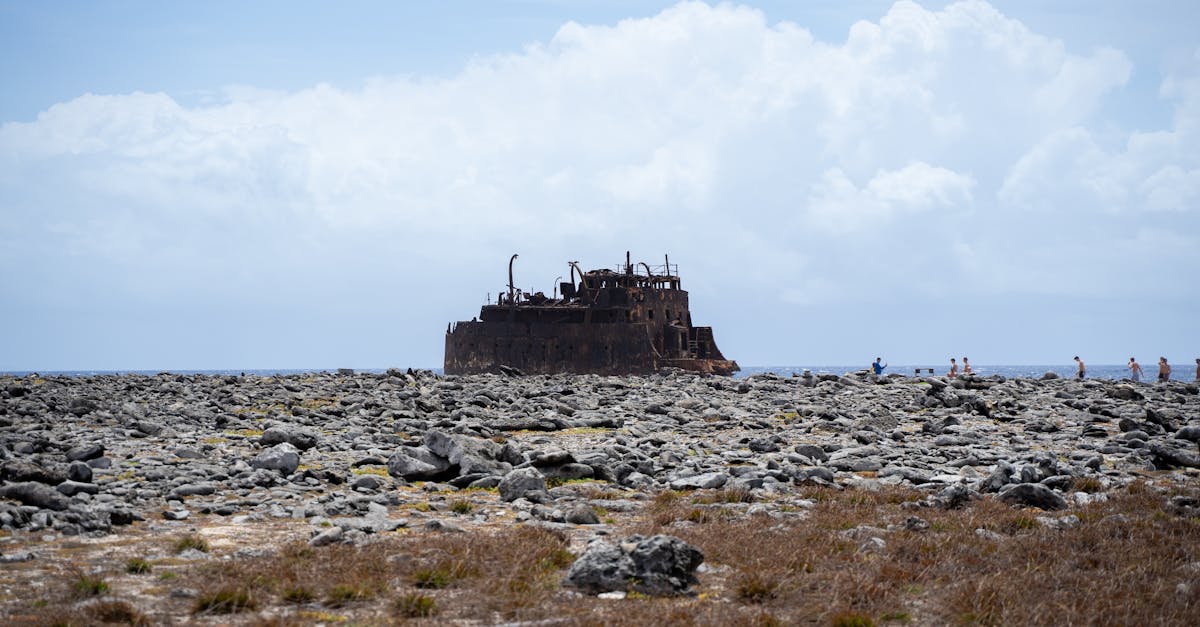 redonnez vie à vos souvenirs avec rekindle, l'application idéale pour raviver vos moments précieux et reconnecter avec vos proches.