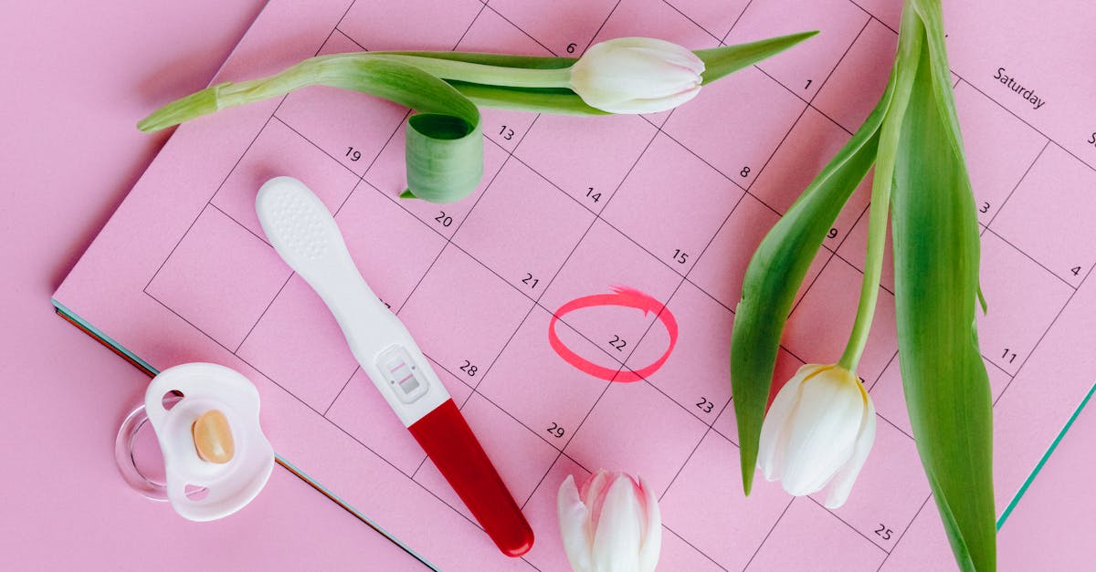 prenez le contrôle de votre vie amoureuse et découvrez comment bâtir des relations épanouissantes et authentiques.